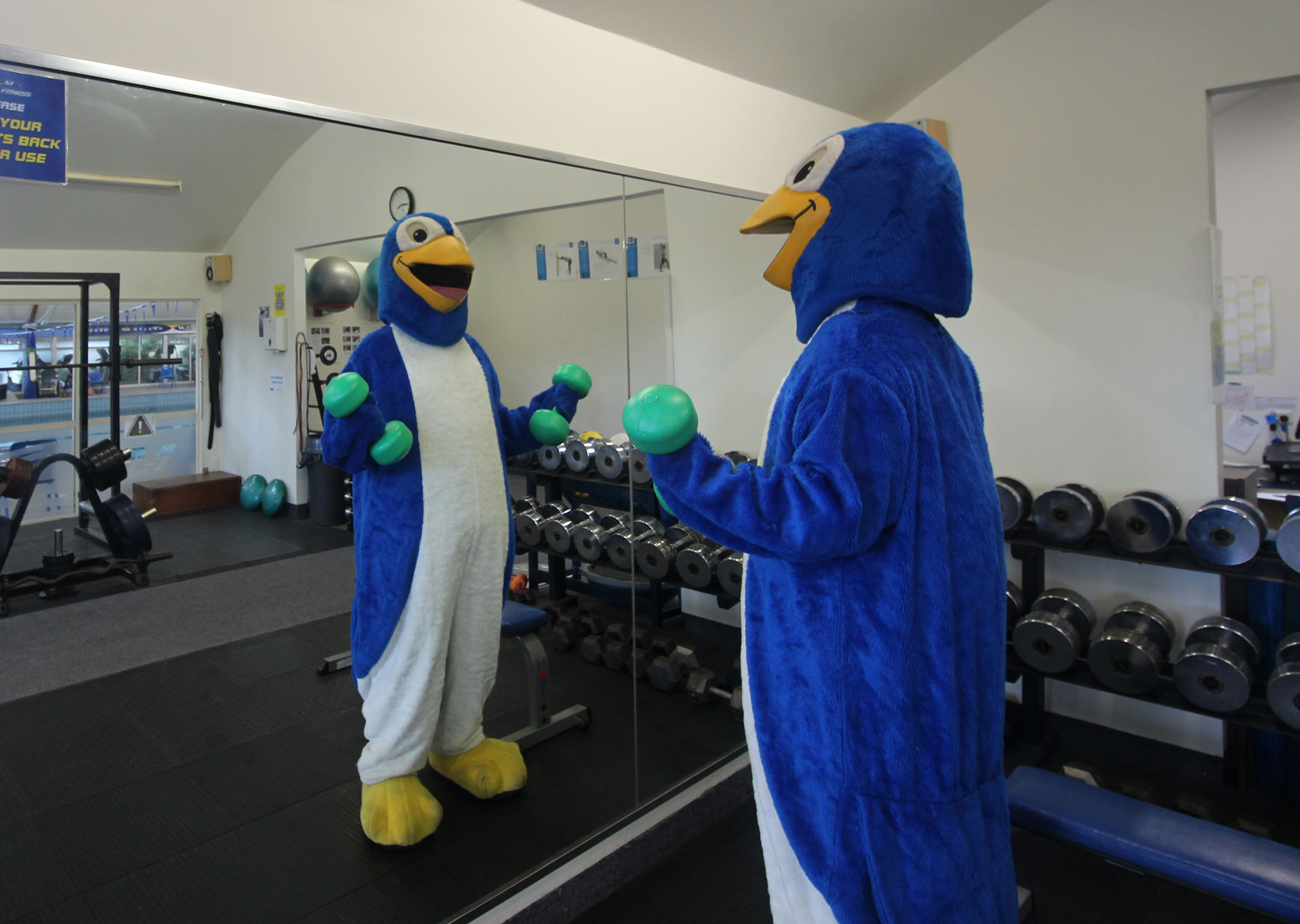 Home Riverside Swimming Pool