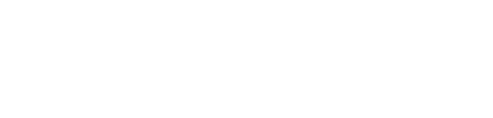 PoolSafe - Logo white.png